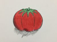 Duncan McLean - Tomato