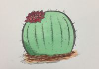 Duncan McLean - Cactus