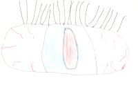 Lincoln Taylor - Monster Eye